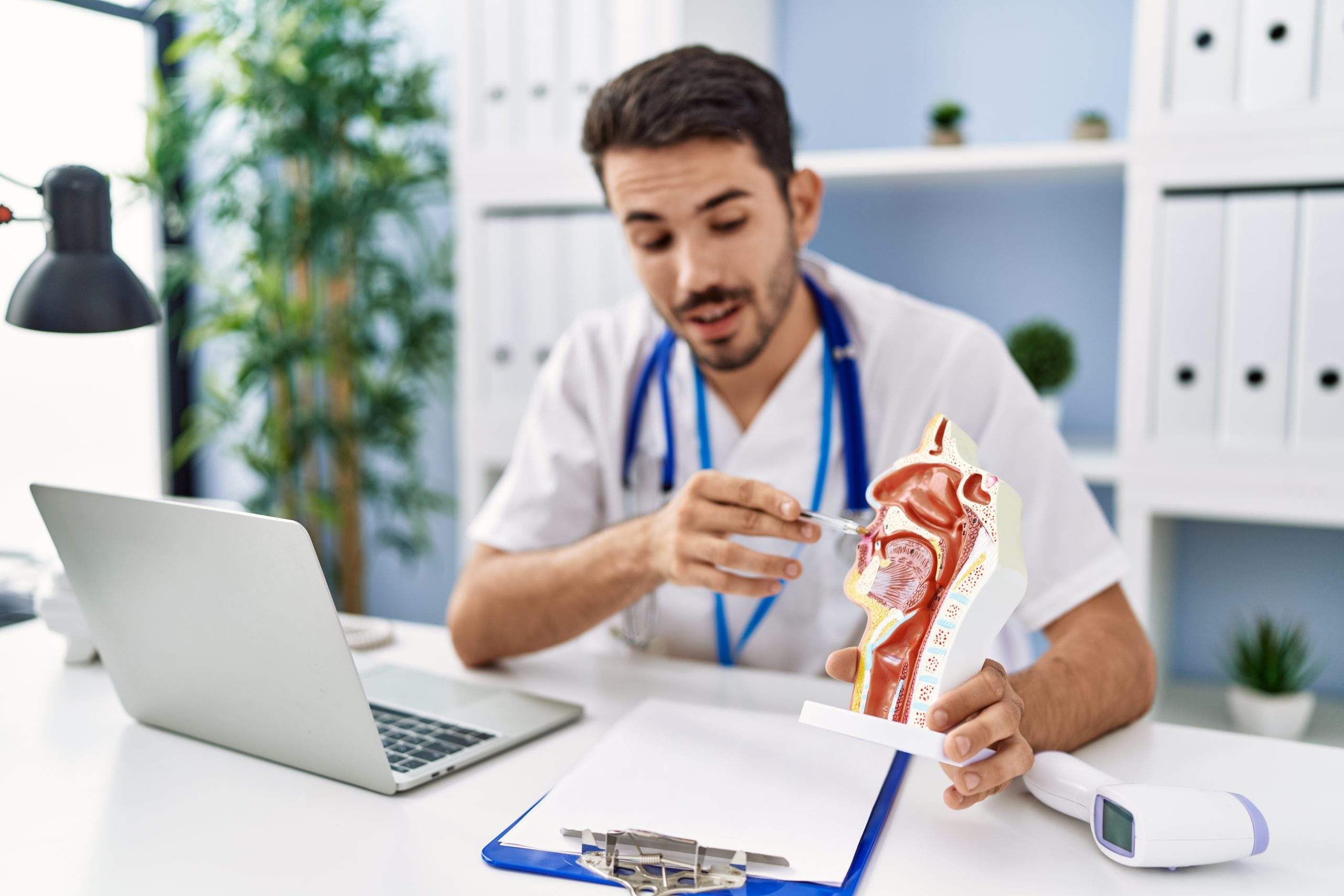 ENT FNE Anatomy Study